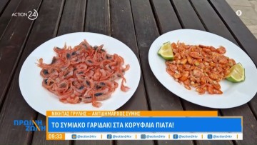 Το συμιακό γαριδάκι και πάλι στα κορυφαία γαστρονομικά πιάτα: Τα «μυστικά» που το καθιστούν ξεχωριστό