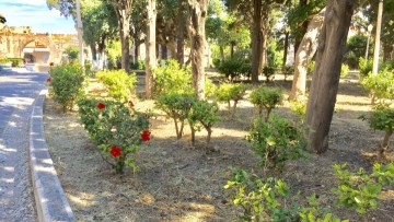 Μητρώο πρασίνου στον δήμο Ρόδου