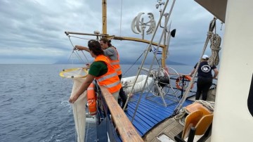 ΣΟΚ ΣΤΑ ΕΡΓΑΣΤΗΡΙΑ: Τα μικροπλαστικά ξεπερνούν το ζωοπλαγκτόν στις ελληνικές θάλασσες