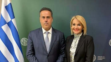 Την παράταση για αυθαίρετα και οικοδομικές άδειες ζήτησε η Μίκα Ιατρίδη από τον υπουργό Περιβάλλοντος & Ενέργειας, Σταύρο Παπασταύρου