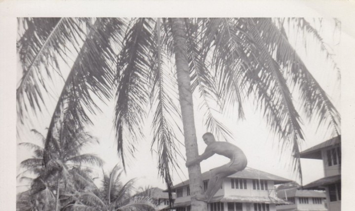 Ο στρατιώτης Edward Prieto, σκαρφαλώνει στο πανύψηλο coconut palm tree (κοκοφοίνικα για να κόψει coconuts (ινδικές καρύδες). Soldier Edward Prieto climbs a towering coconut palm tree to cut down coconuts.