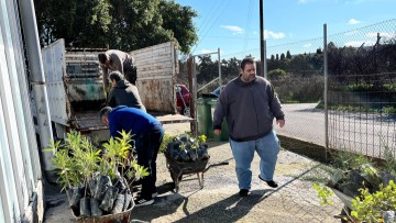 Σωρεία παραδόσεων από το Φυτώριο της Περιφέρειας Νοτίου Αιγαίου για την  ενίσχυση της πράσινης ανάπτυξης στα νησιά