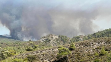Πληρώνονται οι προκαταβολές για τις αποζημιώσεις των αγροτικών καλλιεργειών που κάηκαν στη Ρόδο τον Ιούλιο του 2023