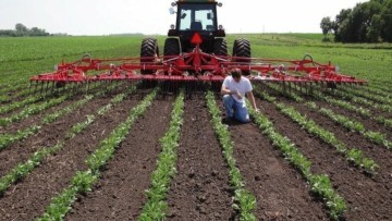 Το μεταβατικό σύστημα πληρωμών και ελέγχων στις αγροτικές επιδοτήσεις - Τι αλλάζει το 2026