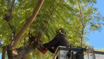 Γιάννης Μητσού: «Συνεχίζουμε με συνέπεια, αγάπη για το περιβάλλον και σεβασμό στη γειτονιά μας»