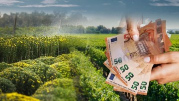 Ηλίας Καραβόλιας: Ποιες επιδοτήσεις ακριβώς πρέπει να κοπούν σε αυτόν τον τόπο;