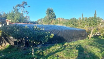 Έξι μήνες παρακολουθούσαν οι αστυνομικοί το κύκλωμα διακίνησης ναρκωτικών στη Ρόδο