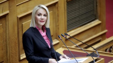 Την άμεση ανάγκη ενίσχυσης των Επιτροπών Εξέτασης Αντιρρήσεων για τους δασικούς χάρτες στα Δωδεκάνησα, έθεσε στον υπουργό Περιβάλλοντος και Ενέργειας η Μίκα Ιατρίδη