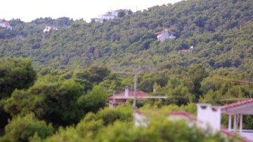 Ξεκινά ξανά η αναζήτηση λύσης για τα δασικά αυθαίρετα: Ανοίγει η πλατφόρμα δηλώσεων