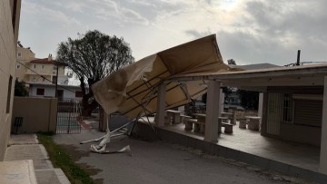 Ένα σχόλιο με νόημα από τον καθηγητή Μάρτη Μαρτάκη