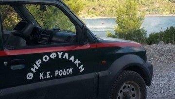 Σύλληψη 50χρονου για παράνομη θήρα στο Γεννάδι