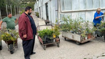 2.700 Δασικά και καλλωπιστικά φυτά από το Περιφερειακό Φυτώριο Ν. Αιγαίου