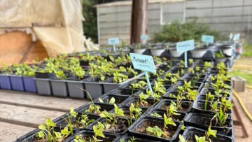 Κατατέθηκαν οι πρώτες αιτήσεις από πολίτες για τον «Κήπο της Κοινωνίας» του δήμου Ρόδου