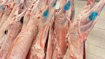 Στήριξη με πράξη αλληλεγγύης προς τα μέλη του Συλλόγου ΑμεΑ Ρόδου
