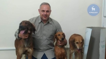 Άνοιξε ο δρόμος για την αναγνώριση της φυλής του «Ροδίτικου λαγωνικού» ως την έβδομη Ελληνική φυλή