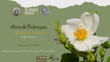Φύση & Πολιτισμός: Ομαδική Εικαστική Έκθεση στο 1ο Φεστιβάλ Οικολογίας Ρόδου