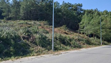 Ζώνες πυρασφαλείας σε δασικές περιοχές ανοίγει ο ΔΕΔΔΗΕ απ' όπου περνάνε καλώδια ρεύματος