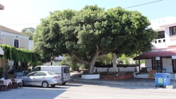 Συνεδριάζει το Κοινοτικό Συμβούλιο Καλαβάρδων στις 26 Μαρτίου – Στο επίκεντρο οι παραλίες της περιοχής