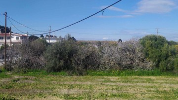 Από 1η Απριλίου υποχρεωτικός καθαρισμός οικοπέδων