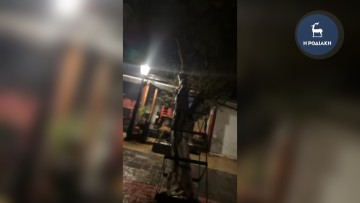 Πτώση δέντρου στην οδό Μανδηλαρά λόγω κακοκαιρίας – Σε επιφυλακή οι υπηρεσίες