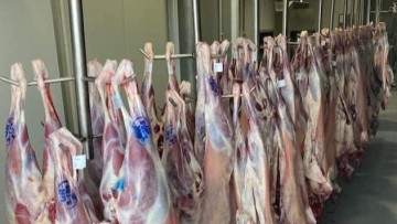 «Πέταξε» η τιμή στο κατσίκι και στη Ρόδο, λιγότερες ποσότητες θα διαθέσουν οι κρεοπώλες